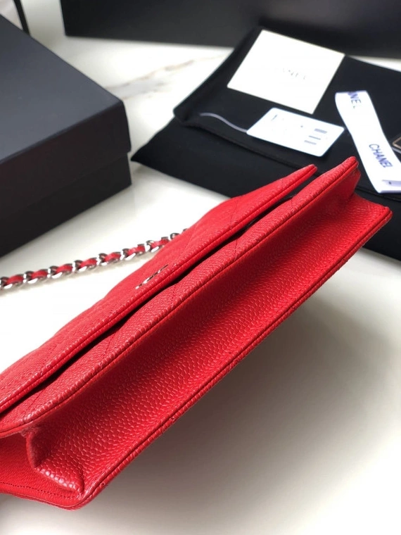 Firstbag Ru WITH WALLET HARDWARE SILVER CAVIAR CHAIN CHANEL 0728